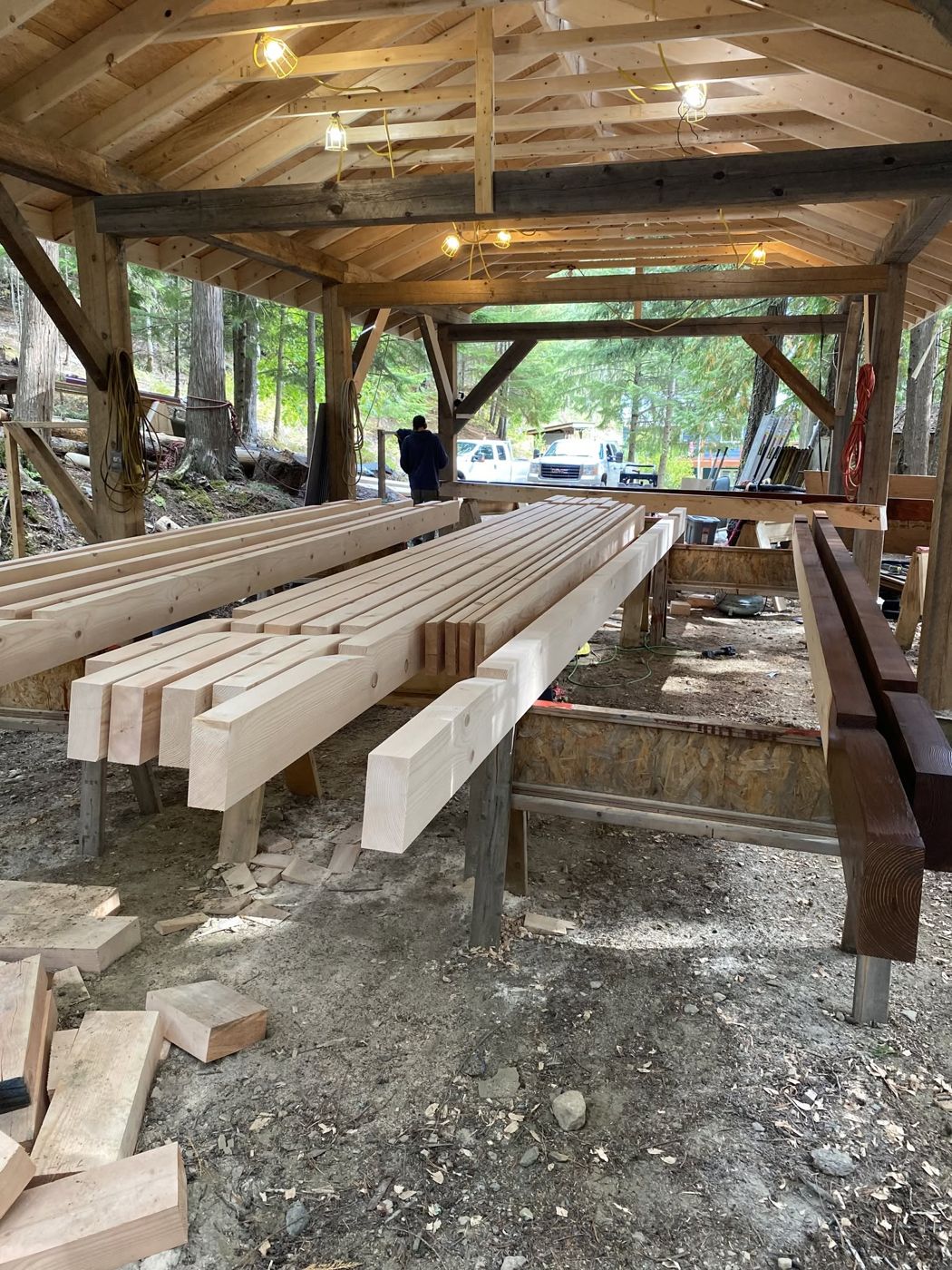 Cut timbers stacked on sawhorses under a timber-framed shelter in the forest
